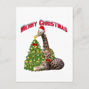 Cartão Postal De Festividades Christmas Giraffe