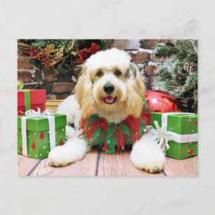 Cartão Postal De Festividades Christmas - GoldenDoodle - Mazey