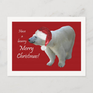 Cartão Postal De Festividades Christmas Greeting Card Polar Bear Santa