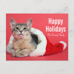 Cartão Postal De Festividades Christmas kitty