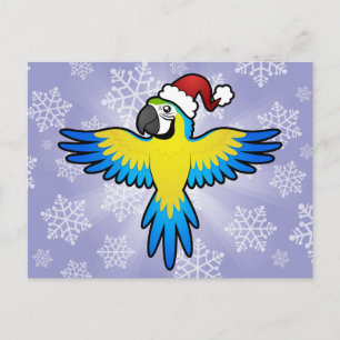 Cartão Postal De Festividades Christmas Macaw / Parrot