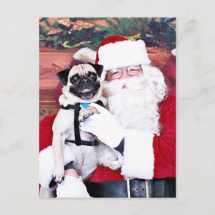 Cartão Postal De Festividades Christmas - Pug - Harvey