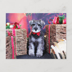Cartão Postal De Festividades Christmas - Schnauzer - Gunner