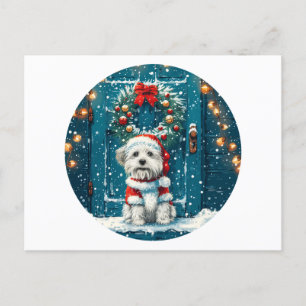 Cartão Postal De Festividades Christmas Shih Tzu Dogs