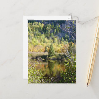 Cartão Postal De Festividades Christmas Tree holiday postcard