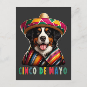 Cartão Postal De Festividades Cinco de Mayo Bernese Cachorros com Poncho e Sombr
