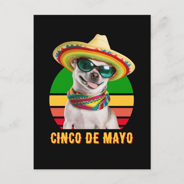 Cartão Postal De Festividades Cinco De Mayo Sombrero Chihuahua com Óculos De Sol (Frente)