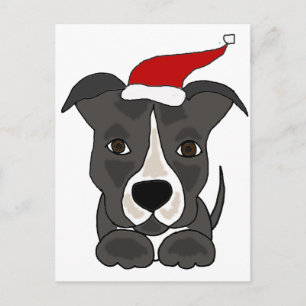 Cartão Postal De Festividades Cinzas engraçadas Pitbull na arte de Natal do Papa