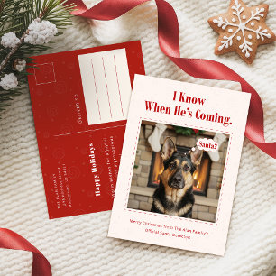 Cartão Postal De Festividades Clássico Divertido Foto Engraçada de Cachorro Nata