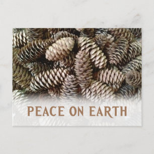 Cartão Postal De Festividades Clássico Pine Feriado Paz Cone na Terra