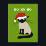 Cartão Postal De Festividades Cláusula Siamesa Santa - Natal Gatinho Engraçado<br><div class="desc">Como? Gato siamês engraçado vestindo um chapéu de Papai Noel. Este gatinho chato diz Bah Humbug para vestir um chapéu ridículo. Um cartão postal de festas de um gato divertido, perfeito para mensagens de feriados pessoais e profissionais. Excelente para babás de estimação, veterinários, salgadinhos de gatos e todos os amantes...</div>