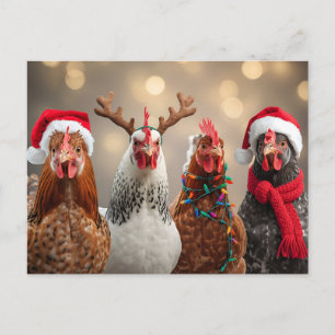 Cartão Postal De Festividades Clucking durante todo o tempo Feliz Natal de frang