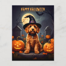 Cockapoo Halloween