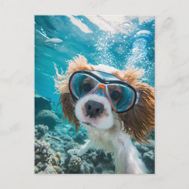Cartão Postal De Festividades Cocker Spaniel King Charles dirigindo no oceano