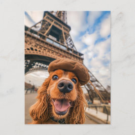 Cartão Postal De Festividades Cocker Spaniel King Charles em Paris