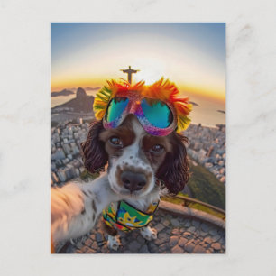 Cartão Postal De Festividades Cocker Spaniel King Charles no Brasil