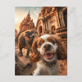 Cartão Postal De Festividades Cocker Spaniel King Charles no templo de Ankor
