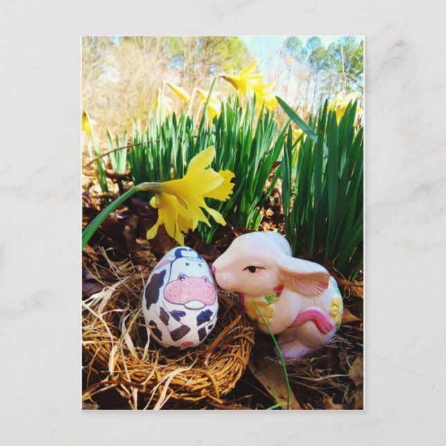 Cartão Postal De Festividades Coelhinho da Páscoa beijando ovo de vaca (Frente)