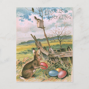 Cartão Postal De Festividades Coelho da Páscoa Ovo Colorido Casa de Pássaros Cam