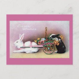 Cartão Postal De Festividades Coelho da páscoa que puxa o carro da flor