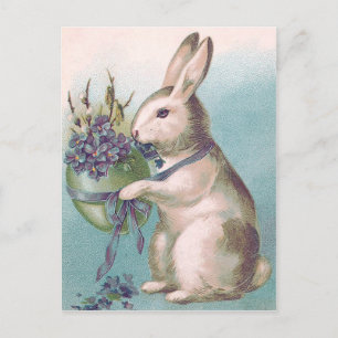 Cartão Postal De Festividades Coelho da Páscoa Segurando Ovo Colorido