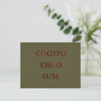 Cogito ergo sum