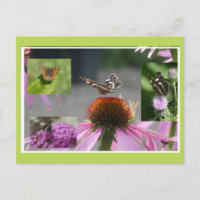 Colagem de Borboleta do Mapa DIY Postal