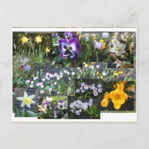 Cartão Postal De Festividades Colagem de Flores Coloridas da Primavera DIY Postc