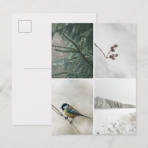 Colagem de fotos da natureza no inverno
