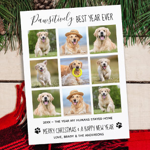 Cartão Postal De Festividades Colagem de Fotos Pet de Cães no Melhor Ano Pawsiti