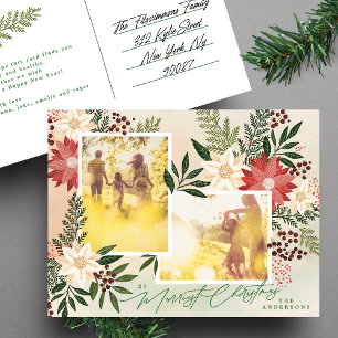 Cartão Postal De Festividades Colagem Fotográfico Botânico de Poinsettia de Nata
