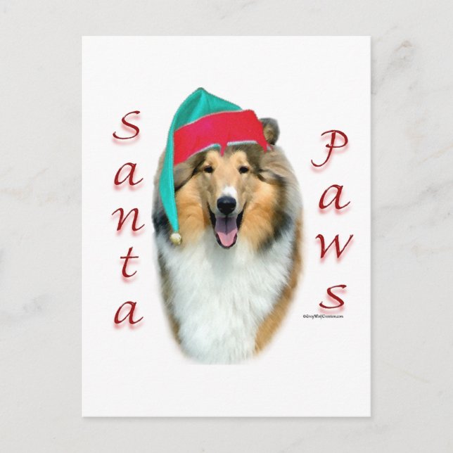 Cartão Postal De Festividades Collie (áspero) Papais noeis (Frente)