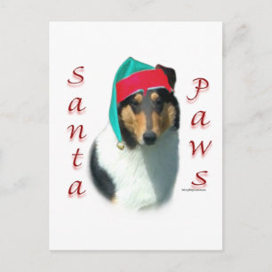 Cartão Postal De Festividades Collie (Papais noeis lisos) Paws