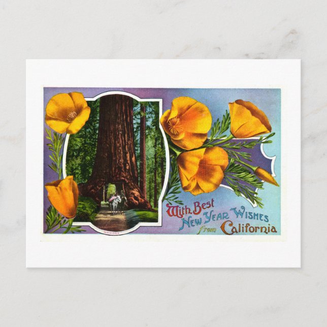 Cartão Postal De Festividades Com melhores desejos do ano novo de Califórnia (Frente)