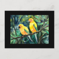 Conuras amarelas do sol, amigos de aves