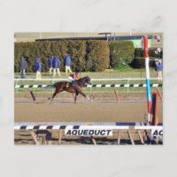 Conversa Pacífica Vence no Dia de Ano Novo