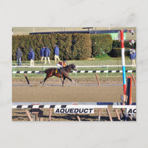 Cartão Postal De Festividades Conversa Pacífica Vence no Dia de Ano Novo