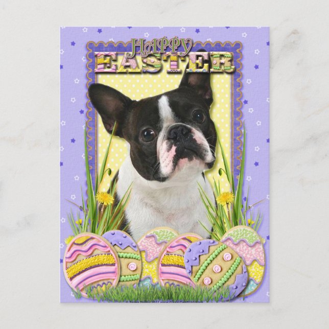Cartão Postal De Festividades Cookies de Ovos de Páscoa - Boston Terrier (Frente)