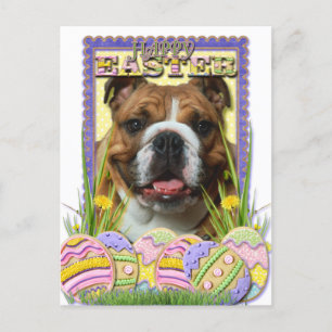 Cartão Postal De Festividades Cookies de Ovos de Páscoa - Bulldog