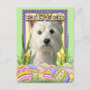 Cartão Postal De Festividades Cookies de Ovos de Páscoa - Terrier do Oeste da Hi
