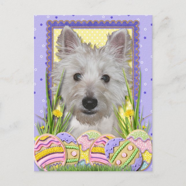 Cartão Postal De Festividades Cookies de Ovos de Páscoa - West Highland Terrier  (Frente)