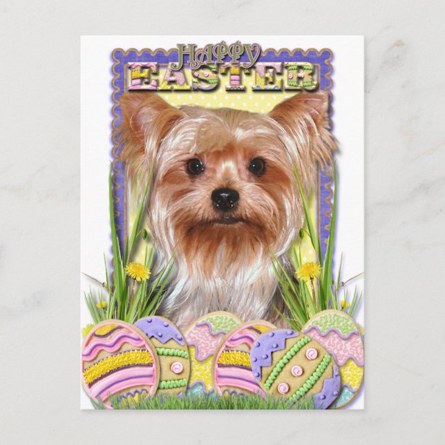 Cartão Postal De Festividades Cookies de Ovos de Páscoa - Yorkshire Terrier (Frente)