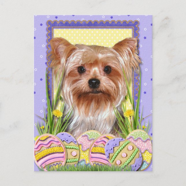 Cartão Postal De Festividades Cookies de Ovos de Páscoa - Yorkshire Terrier (Frente)