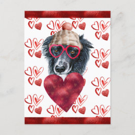 Cartão Postal De Festividades Corações de Border Collie Presente de Dia dos Namo