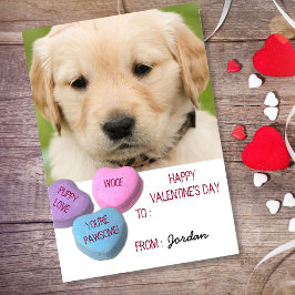 Cartão Postal De Festividades Corações Docentes de Namorados de Foto de Cachorro