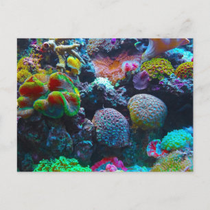Cartão Postal De Festividades Coral Colorido