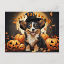 Corgi Feliz de Halloween no Campo de Abóboras