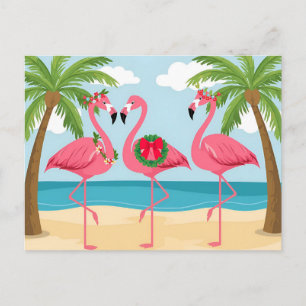 Cartão Postal De Festividades Coroa de Natal de Praia de Flamingo Tropical Féria