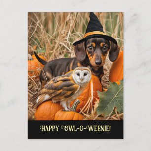 Cartão Postal De Festividades Coruja Bonita Dachshund Feliz Halloween