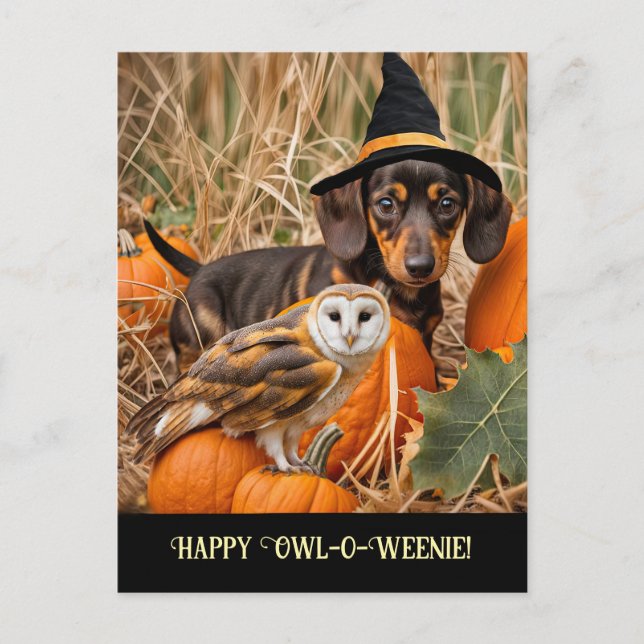 Cartão Postal De Festividades Coruja Bonita Dachshund Feliz Halloween (Frente)